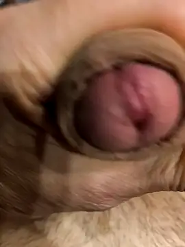 bavaricus123 online show from March 2026 05:14:01 PM