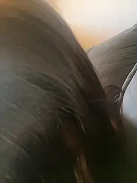 Snapshot of mel88Da chatting on October 2025 01:26:02 PM mel88Da online show from October 2025 01:26:02 PM