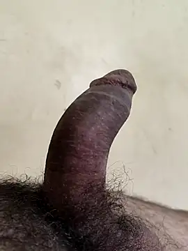 alkhabiir online show from February 2026 04:29:01 PM