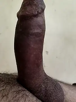 alkhabiir online show from November 2025 09:10:01 AM