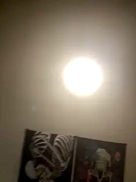 1Zoey101 online show from November 2025 04:37:02 AM