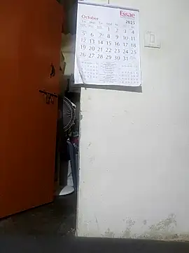 pallu telgu kannada online show from October 2025 12:59:01 PM