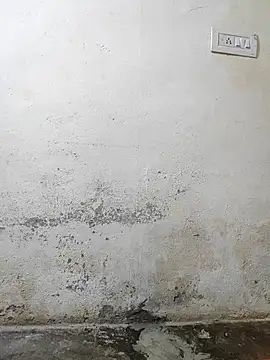 Snapshot of pallu_telgu_kannada chatting on March 2026 05:31:02 PM pallu telgu kannada online show from March 2026 05:31:02 PM