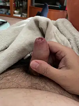 Snapshot of littletoy64 chatting on October 2025 08:34:02 AM littletoy64 online show from October 2025 08:34:02 AM