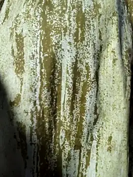 mens weakness online show from November 2025 06:51:02 AM