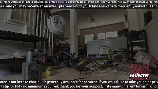 yetieater online show from January 2025 09:09:02 PM