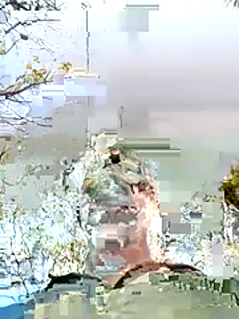 boobs5626 online show from March 2026 04:05:02 AM
