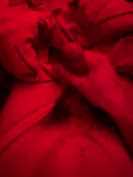 Snapshot of ruchacz24 chatting on March 2025 02:51:02 AM ruchacz24 online show from March 2025 02:51:02 AM