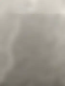 Snapshot of enoc369 chatting on February 2026 03:49:02 AM enoc369 online show from February 2026 03:49:02 AM