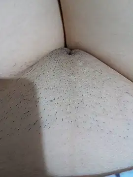 Snapshot of yakot7 chatting on October 2025 09:38:02 PM yakot7 online show from October 2025 09:38:02 PM