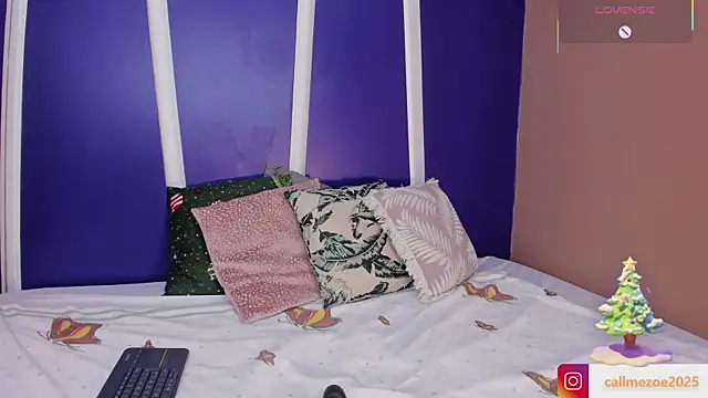 Snapshot of Zoe-S chatting on December 2025 08:08:02 PM Zoe-S online show from December 2025 08:08:02 PM