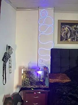 CRAZY-BOY99 online show from December 2025 11:21:01 PM