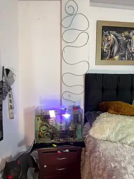 CRAZY-BOY99 online show from December 2025 11:38:02 AM