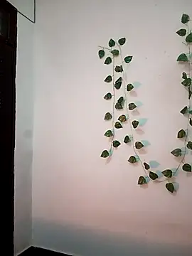 Neha-Bhabhi-Rasily online show from February 2026 11:12:02 AM