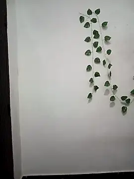 Neha-Bhabhi-Rasily online show from March 2026 04:30:02 PM