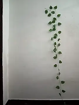 Neha-Bhabhi-Rasily online show from March 2026 03:50:01 AM