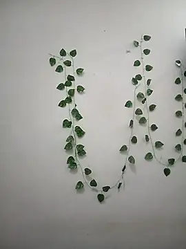 Neha-Bhabhi-Rasily online show from April 2026 11:34:01 AM