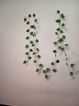 Neha-Bhabhi-Rasily online show from February 2026 04:44:02 AM