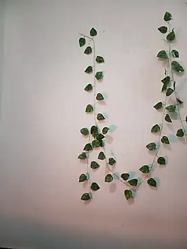 Neha-Bhabhi-Rasily online show from February 2026 11:17:01 AM