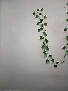 Neha-Bhabhi-Rasily online show from April 2026 04:52:01 PM