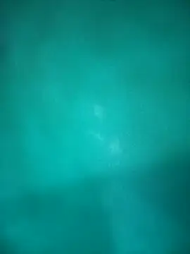 Snapshot of Neha-Bhabhi-Rasily chatting on October 2025 04:50:02 PM Neha-Bhabhi-Rasily online show from October 2025 04:50:02 PM