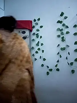 Neha-Bhabhi-Rasily online show from December 2025 12:26:01 PM