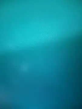 Snapshot of Neha-Bhabhi-Rasily chatting on September 2025 10:11:02 AM Neha-Bhabhi-Rasily online show from September 2025 10:11:02 AM