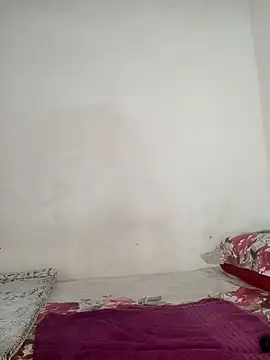 Missvixen81 online show from November 2025 05:17:02 AM