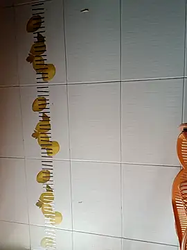 BellyDancer1 online show from October 2025 08:35:02 AM