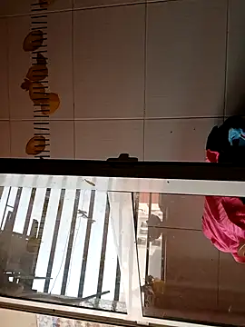 BellyDancer1 online show from November 2025 08:50:01 AM