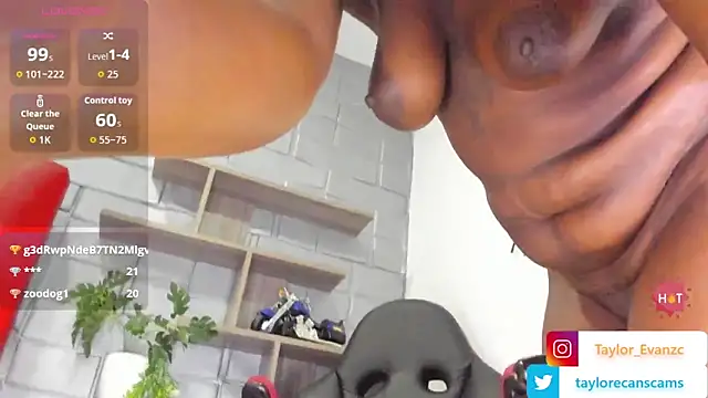 Taylorr evans online show from February 2026 01:37:01 AM