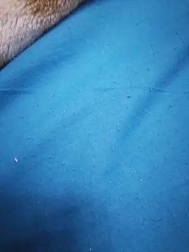 masterxxx69 online show from November 2025 04:33:02 PM