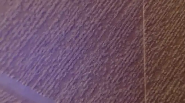 conny99 online show from February 2025 08:05:01 PM