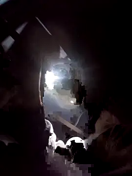 Snapshot of SirJonBradley chatting on November 2025 11:58:01 AM SirJonBradley online show from November 2025 11:58:01 AM