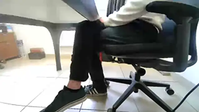 GM51-1988 online show from March 2026 12:21:03 PM