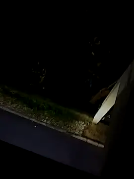 BUTTerflyTODAY online show from March 2026 03:39:02 AM