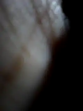 Sandra42 online show from December 2025 09:48:02 AM