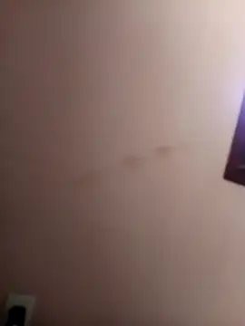 Sandra42 online show from January 2026 09:16:02 AM