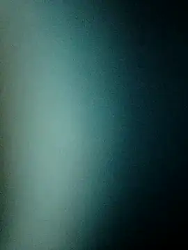 Snapshot of connor_steel2 chatting on March 2025 03:09:02 PM connor steel2 online show from March 2025 03:09:02 PM