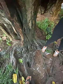 UproseOval online show from October 2025 11:53:02 AM