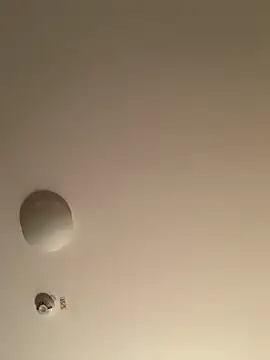 Saysay-7 online show from November 2025 11:25:01 PM