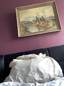 Saysay-7 online show from February 2026 12:28:01 PM