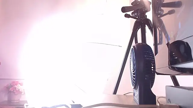 Cattleya gilQS online show from March 2025 11:23:01 PM