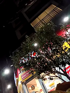 Fzssp online show from April 2026 01:12:01 AM