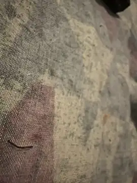 6poundtown9 online show from April 2026 04:24:02 PM