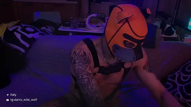 danix wild wolf online show from March 2026 10:50:01 PM