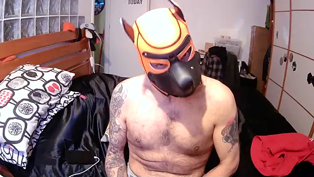 danix wild wolf online show from December 2025 01:27:01 PM