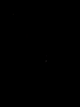 papicook online show from May 2026 04:38:01 AM
