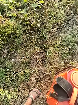 himvilohi08 online show from January 2026 10:54:02 AM