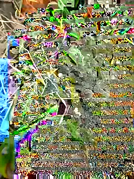 himvilohi08 online show from September 2025 12:33:01 PM